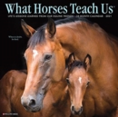 What Horses Teach Us 2021 Wall Calendar - Book