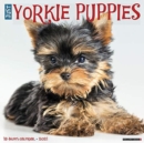 Just Yorkie Puppies 2021 Wall Calendar (Dog Breed Calendar) - Book