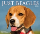 Just Beagles 2021 Box Calendar (Dog Breed Calendar) - Book