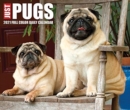Just Pugs 2021 Box Calendar (Dog Breed Calendar) - Book