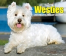 Just Westies 2021 Box Calendar (Dog Breed Calendar) - Book
