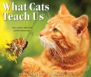 What Cats Teach Us 2021 Box Calendar - Book