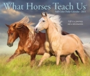 What Horses Teach Us 2021 Box Calendar - Book