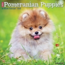 Just Pomeranian Puppies 2021 Wall Calendar (Dog Breed Calendar) - Book