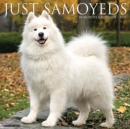 Just Samoyeds 2021 Wall Calendar (Dog Breed Calendar) - Book