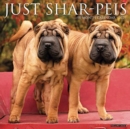 Just Shar-Peis 2021 Wall Calendar (Dog Breed Calendar) - Book