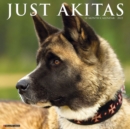 Just Akitas 2022 Wall Calendar (Dog Breed) - Book