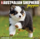Just Australian Shepherd Puppies 2022 Wall Calendar (Dog Breed) - Book