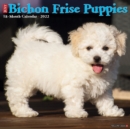 Just Bichon Frise Puppies 2022 Wall Calendar (Dog Breed) - Book