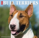 Just Bull Terriers 2022 Wall Calendar (Dog Breed) - Book