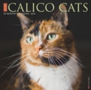 Just Calico Cats 2022 Wall Calendar (Cat Breed) - Book