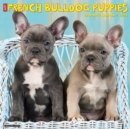 Just French Bulldog Puppies 2022 Wall Calendar, (Dog Breed) - Book