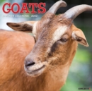 Goats 2022 Wall Calendar - Book