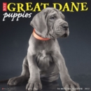 Just Great Dane Puppies 2022 Wall Calendar (Dog Breed) - Book