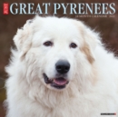 Just Great Pyrenees 2022 Wall Calendar (Dog Breed) - Book