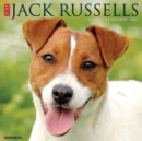 Just Jack Russells 2022 Wall Calendar (Dog Breeds) - Book