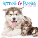 Kittens & Puppies 2022 Wall Calendar - Book