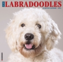 Just Labradoodles 2022 Wall Calendar (Dog Breed) - Book