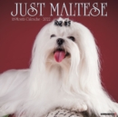 Just Maltese 2022 Wall Calendar (Dog Breed) - Book