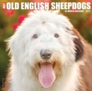 Just Old English Sheepdogs 2022 Wall Calendar (Dog Breed) - Book