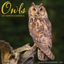 Owls 2022 Wall Calendar - Book