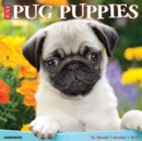 Just Pug Puppies 2022 Wall Calendar (Dog Breed) - Book