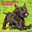 Just Schnauzer Puppies 2022 Wall Calendar (Dog Breed) - Book