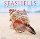 Seashells 2022 Wall Calendar - Book