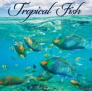 Tropical Fish 2022 Wall Calendar - Book