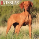 Just Vizslas 2022 Wall Calendar (Dog Breed) - Book