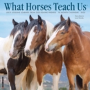 What Horses Teach Us 2022 Wall Calendar - Book