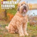 Just Wheaton Terriers 2022 Wall Calendar (Dog Breed) - Book