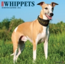 Just Whippets 2022 Wall Calendar (Dog Breed) - Book