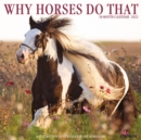 Why Horses Do That 2022 Wall Calendar - Book
