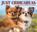 Chihuahuas 2022 Box Calendar - Dog Breed Daily Desktop Calendar - Book