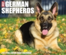 German Shepherds 2022 Box Calendar - Dog Breed Daily Desktop - Book