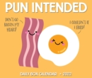Pun Intended 2022 Box Calendar - Daily Pun Humor Desktop - Book