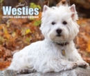 Westies 2022 Box Calendar - Dog Breed Daily Desktop - Book