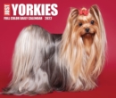 Yorkies 2022 Box Calendar - Dog Breed Daily Desktop - Book
