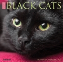 Just Black Cats 2022 Mini Wall Calendar - Book