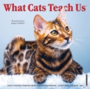 What Cats Teach Us 2022 Mini Wall Calendar - Book