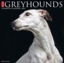 Just Greyhounds 2023 Wall Calendar - Book