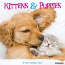 Kittens & Puppies 2023 Wall Calendar - Book