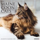 Just Maine Coon Cats 2023 Wall Calendar - Book