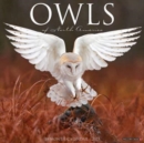 Owls 2023 Wall Calendar - Book