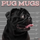 Pug Mugs 2023 Wall Calendar - Book