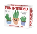 Pun Intended 2023 Box Calendar - Book