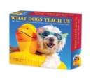 What Dogs Teach Us 2023 Box Calendar - Book