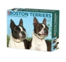 Boston Terriers 2024 6.2 X 5.4 Box Calendar - Book