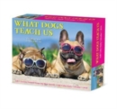 What Dogs Teach Us 2024 6.2 X 5.4 Box Calendar - Book